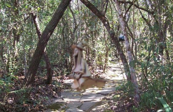 Chales City Camael São Tomé das Letras Bagian luar foto